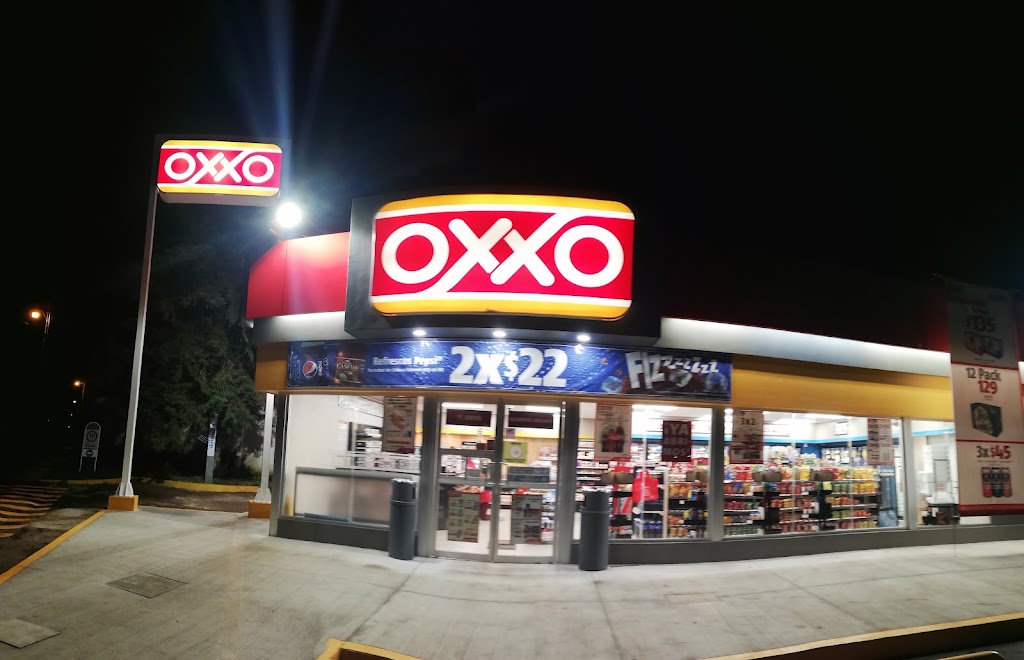 Oxxo Ario Sur foto 1