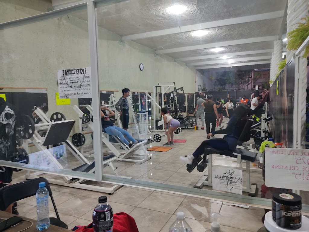 BAMBY'S GYM