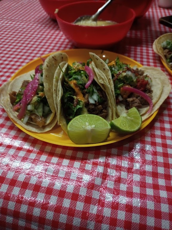Los Canarios foto 1