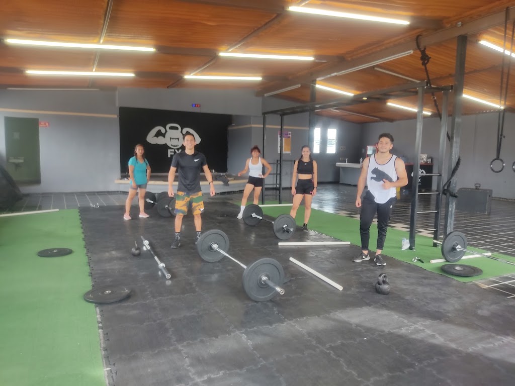 FX Training Morelia