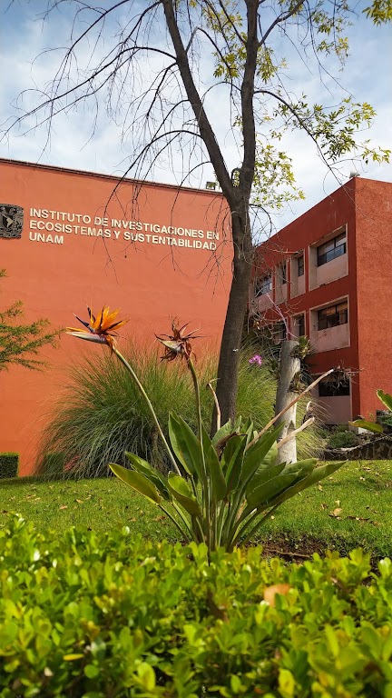 Instituto de Investigaciones en Ecosistemas y Sustentabilidad UNAM (IIES)