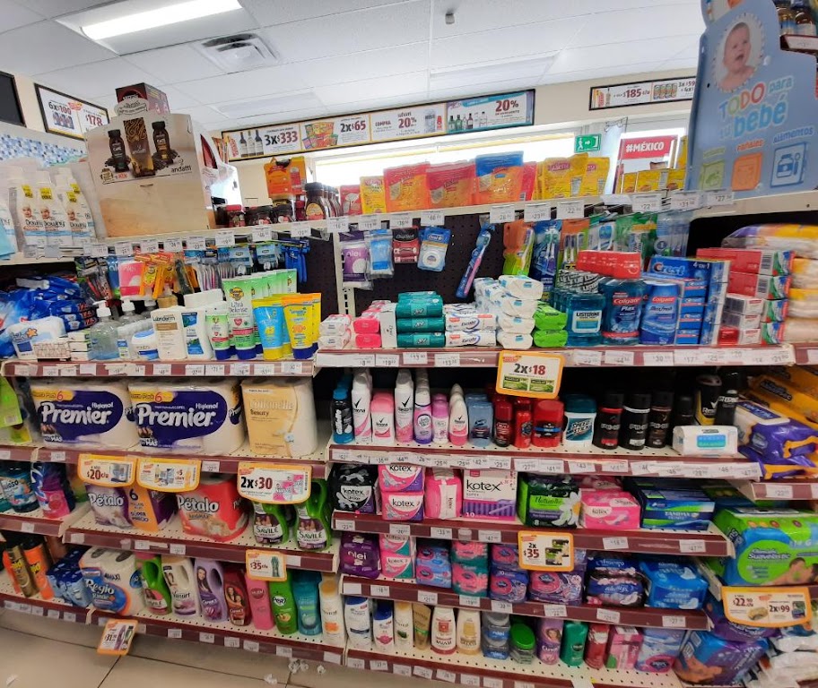 OXXO ARIO BOULEVARD