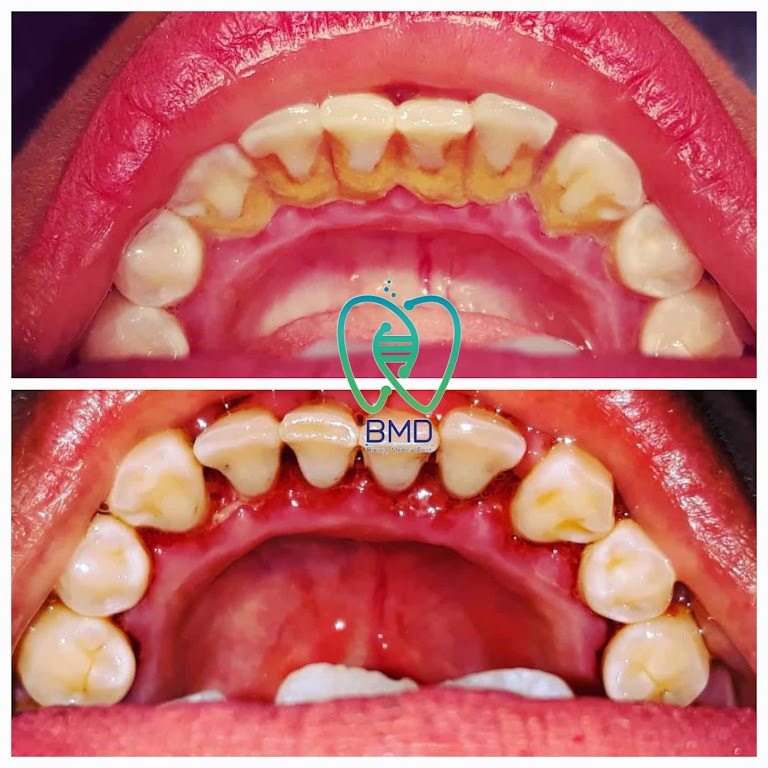 Biology Medical Dent