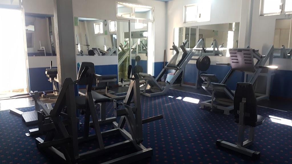 Gym Dolphin foto 1