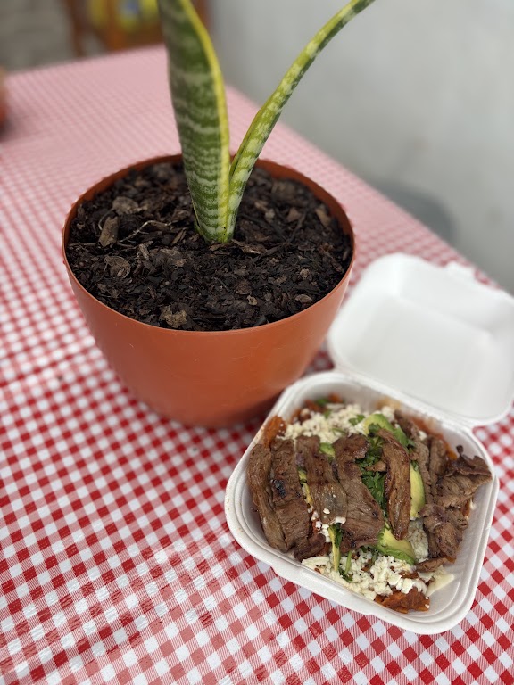 Chila-kasa foto 1